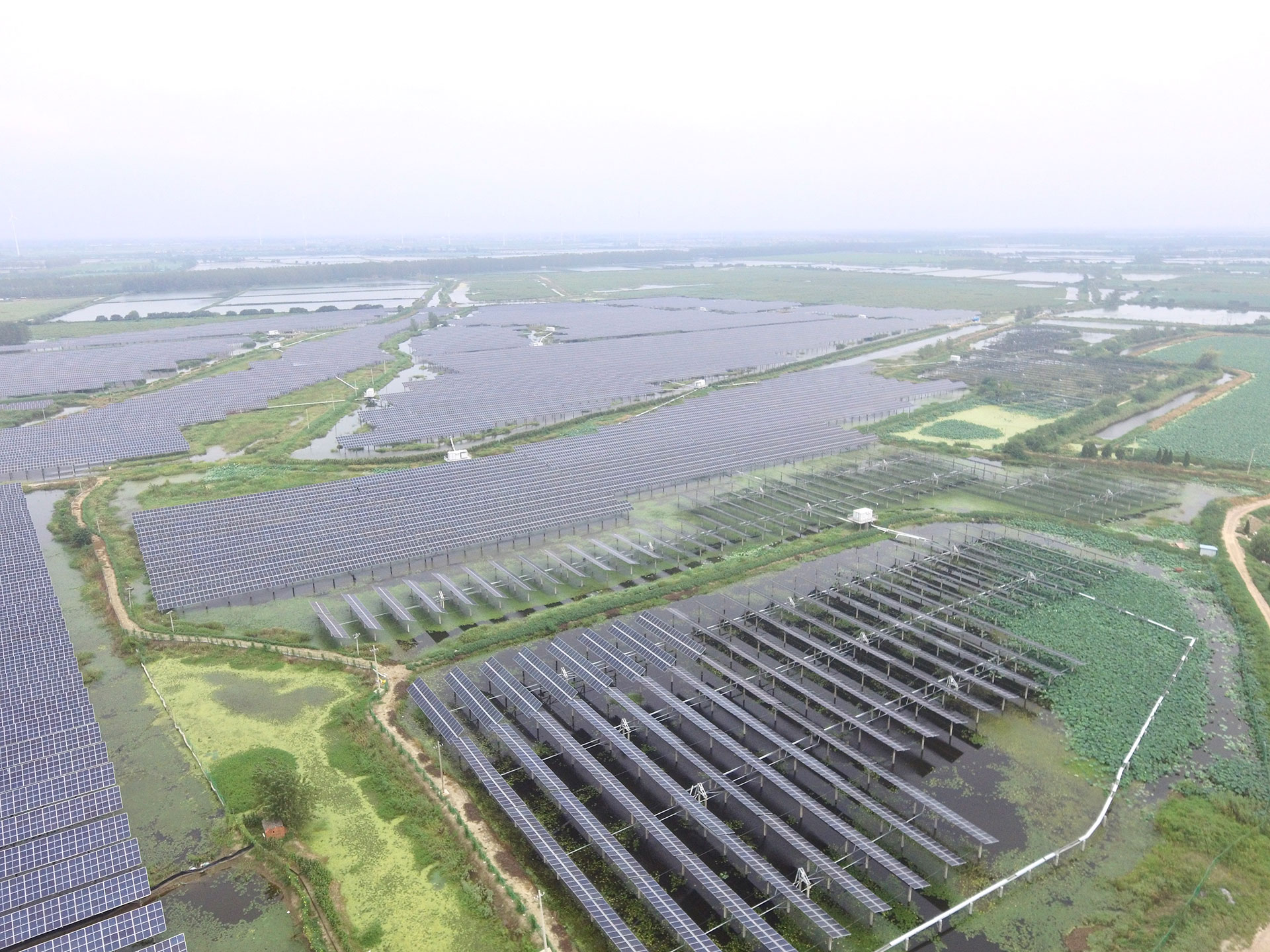 九游娱乐科技江苏扬州宝应光伏发电应用领跑基地2号100兆瓦项目
